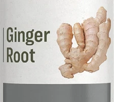 GINGER ROOT - Indigestion Nausea Circulation & Immune Support Herbal Tincture