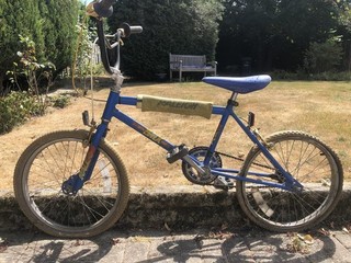 Raleigh BMX!