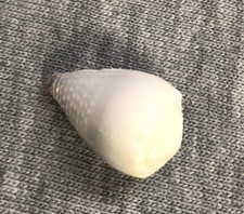 *Conus nanus 16mm !!!