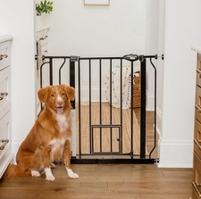 Carlson Extra Wide Walk Through Pet Gate with Small Pet Door, Includes 4-Inch...