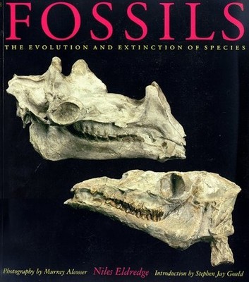 Fossils: The Evolution and Extinction of Species by Eldredge, Niles 0691026955