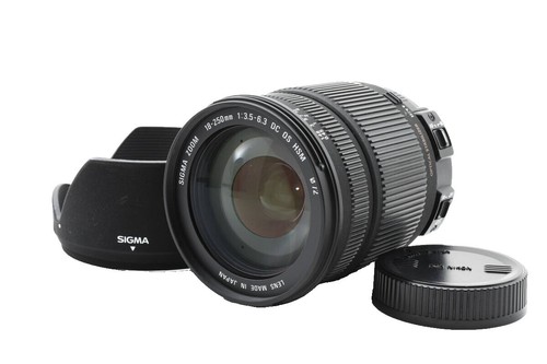 Sigma 16-300mm f/3.5-6.7 DC OS Contemporary Lens (Sony E) | eBay