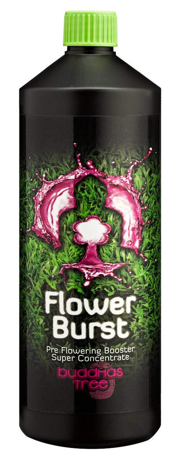 Flower Burst - Buddhas Tree - 500ml