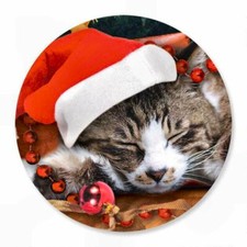 12 1 5/8" CHRISTMAS KITTEN CAT PHOTO SEALS STICKERS USA MADE 57