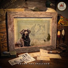 Vintage Duck Stamp Art Print 11X14 Black Lab Duck Hunting Art Cabin Wall Decor