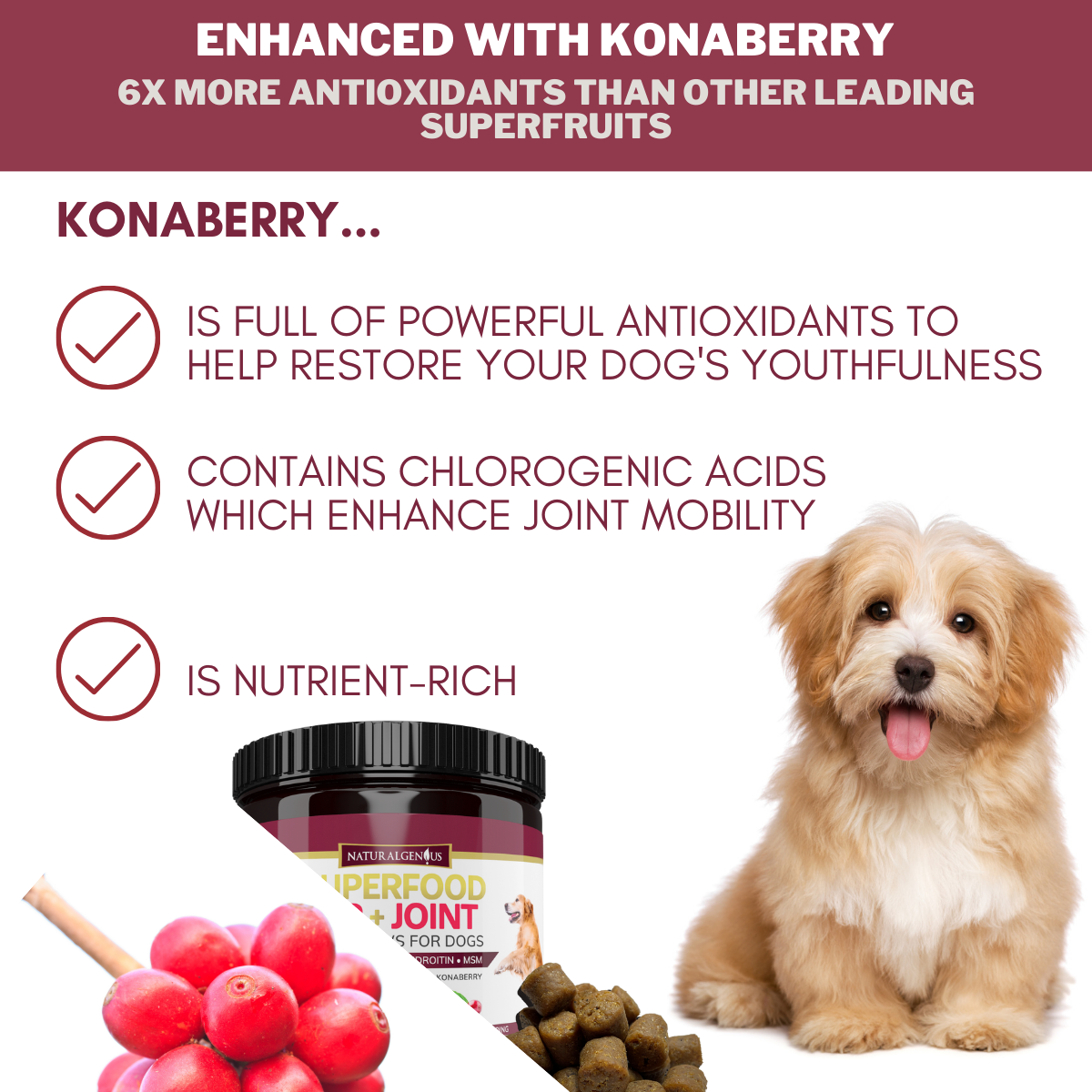 Glucosamine Chondroitin MSM Hemp Hip Joint Pain Relief, Dog Supplement