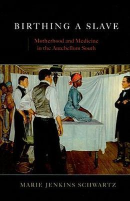 Birthing a Slave : Motherhood and Medicine in the Antebellum South, Paperback...