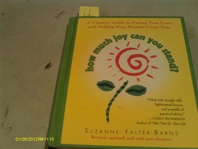 How Much Joy Can You Stand : A Creative Guide to Facing Your Fears and Makin...