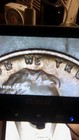 1955-D Lincoln Wheat Cent MS67 RD NGC — photo 3