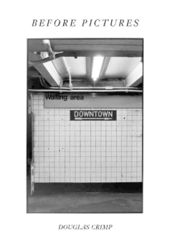 Douglas Crimp Before Pictures (Copertina rigida)