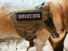 ICEFANG Tactical Dog Operation Harness with Service Dog Molle Vest with Handle