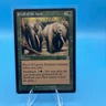 MTG Call of the Herd x1 Time Spiral Timeshifted NM, Magic the Gathering