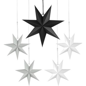 Weihnachtsstern Schwarz | eBay.de