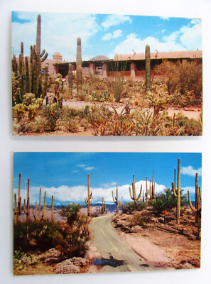 USA Postcards Lot 2 x ARIZONA (Saguaro Forest & Sonora) Postkarten ca. ~1970/80