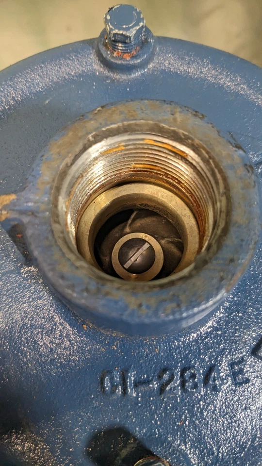 Bomba recta BERKELEY AC 230/460V, 3/4 CV TRIFÁSICA S39532 (DAÑADA) Foto 4 de 4