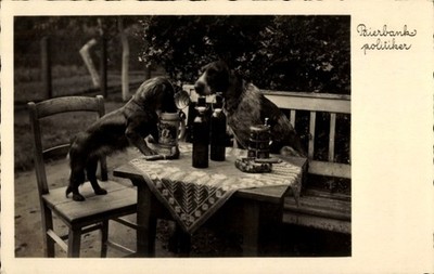 Postcard Dachshund Drinking from a Beer Mug, Dogs at a Table,... - 11050146