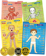 Body - Interactive Educational Human Anatomy Talking Game Toy  Learn Body Parts