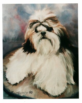 Shih Tzu Puppy Pet Dog Blank Note Cards Pack of 12 Greeting Stationery Envelopes