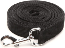 Strong Nylon Dog Leash with 2-Layer, 4 FT/ 6 Feet Long, 1 Inch Wide for Medium L
