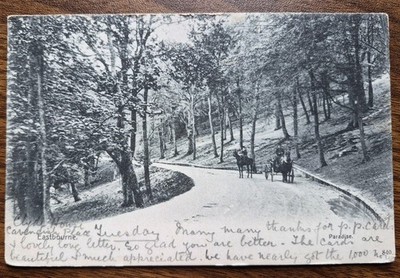 Postkarte Eastbourne Paradise Drive 1904, Pferd und Kutsche