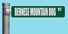 BERNESE MOUNTAIN DOG ST STREET SIGN HEAVY DUTY ALUMINUM ROAD SIGN 17" x 4"