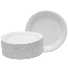 100 x PAPER PLATES DISPOSABLE 23cm 9"  BBQ BUFFET PICNIC WHITE WEDDING PLATES