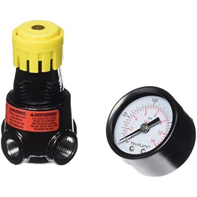 Tru-Flate Plastic/Steel Mini Regulator with Gauge 1/4'' Npt 250 Psi 1 Pc - Case
