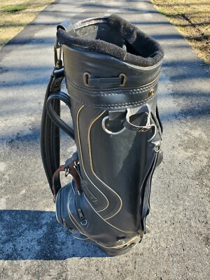 Vintage Titleist DCI Cart Bag Golf Bag | eBay