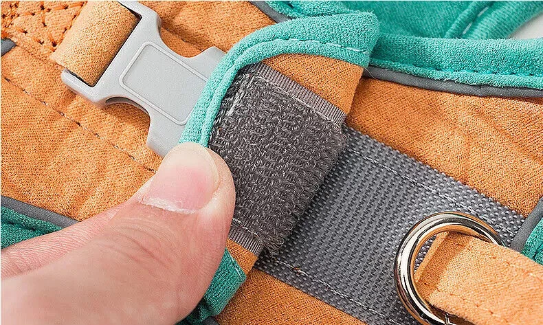 Katzengeschirr Hundegeschirr mit Leine Katzen Brustgeschirr DESIGN - Bild 4 von 4