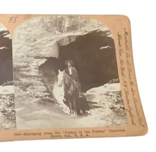 Man Riding Horse Emerging From Father OF The Forest Calavera Grove Photo SV1C
