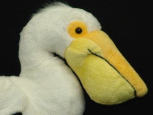 WEBKINZ PLUSH ONLY NO SEALED SECRET CODE PELICAN BIRD FREE SHIPPING PLUSH TOY | eBay