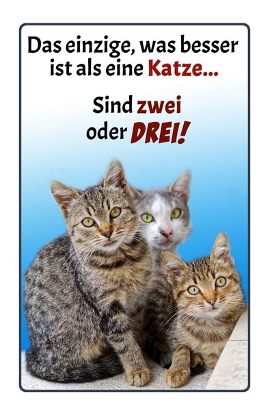 Holzschild 18X12 Cm Einzige Was Besser Ist Als Katze Tier Haustier Deko Geschenk-image