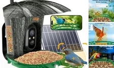 Smart Bird Feeder with Camera for Outdoor, Solar Powered Smart Bird Tree-GREEN