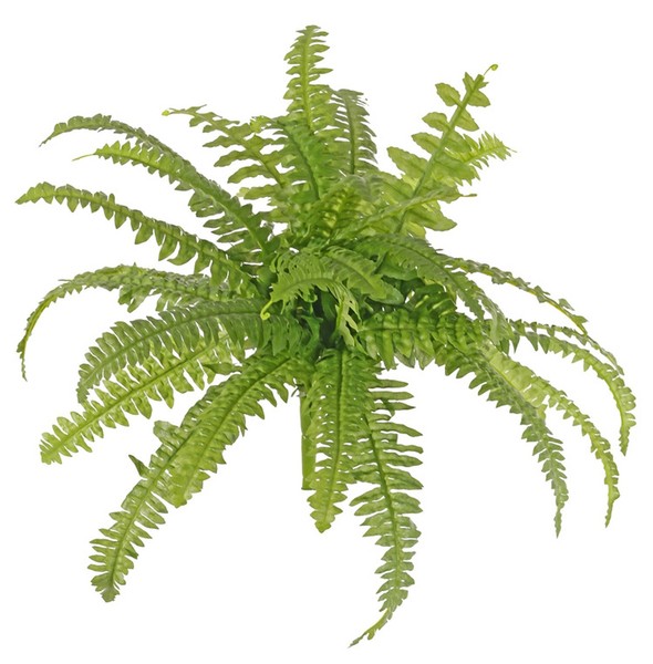 Artplants Boston Farn KüNstlich Arkadia Auf Steckstab, GrüN, 35Cm, Ø50Cm-image