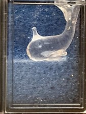 Small Glass Figurine in Case - Whale / Fish