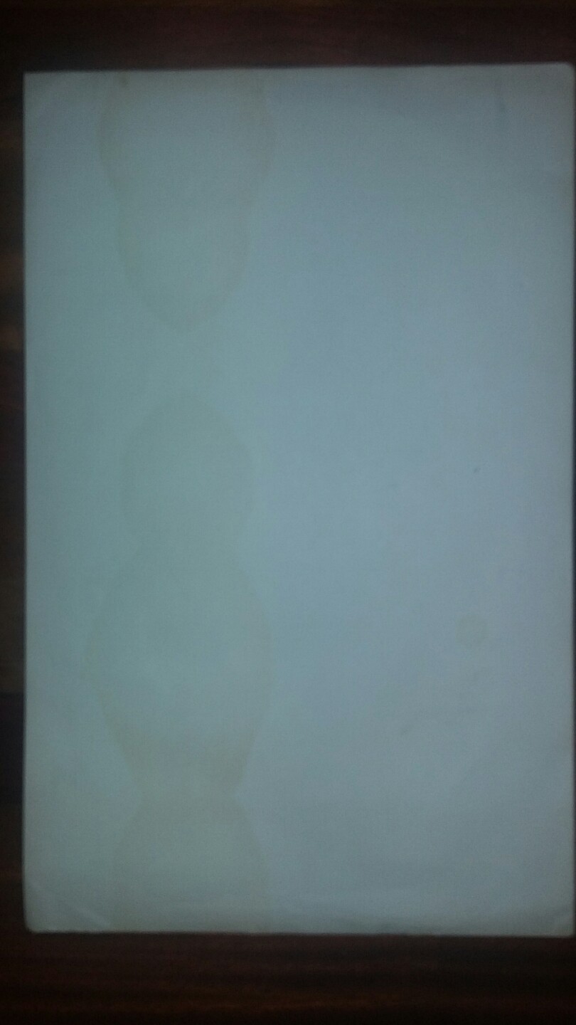 Picture 10 of 10