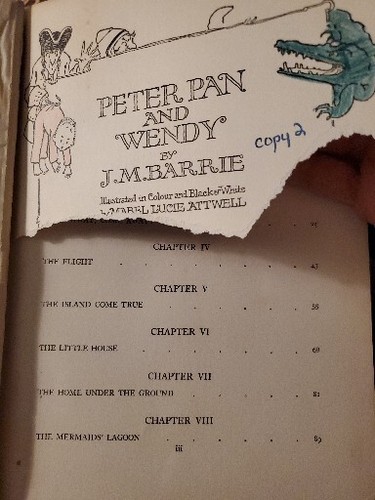 Peter Pan and Wendy - Picture 9 of 15