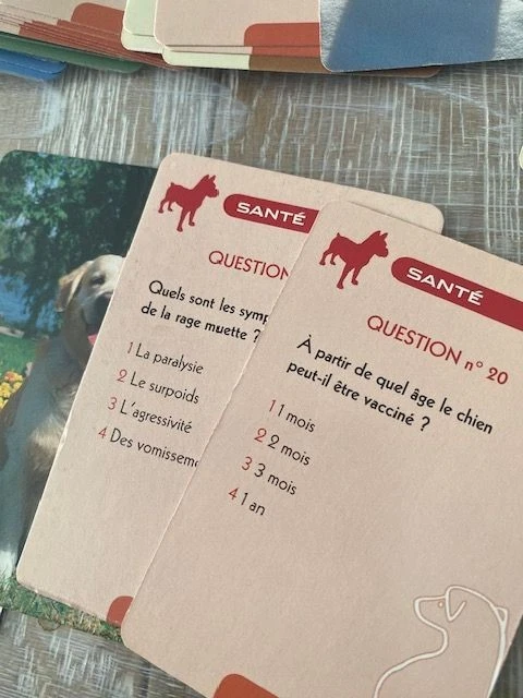 Quiz sur les chiens - jeu de cartes - Photo 3/4
