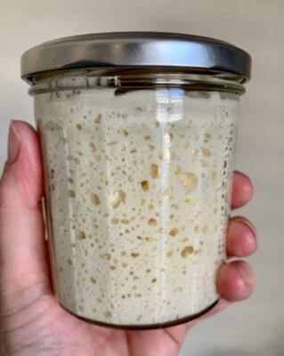 EASY Sourdough Starter Verified Live San Francisco- 221yr Old TOP SELLER! - Image 1 of 4