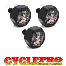 Black Billet Hex Windshield Bolt Kit For 93-13 Harley Touring - SKULL CROSS GIRL