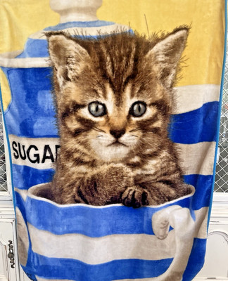 VTG Greg Cuddiford Northwest Plush Throw Blanket Kitten in a Tea Cup  Cat Theme
