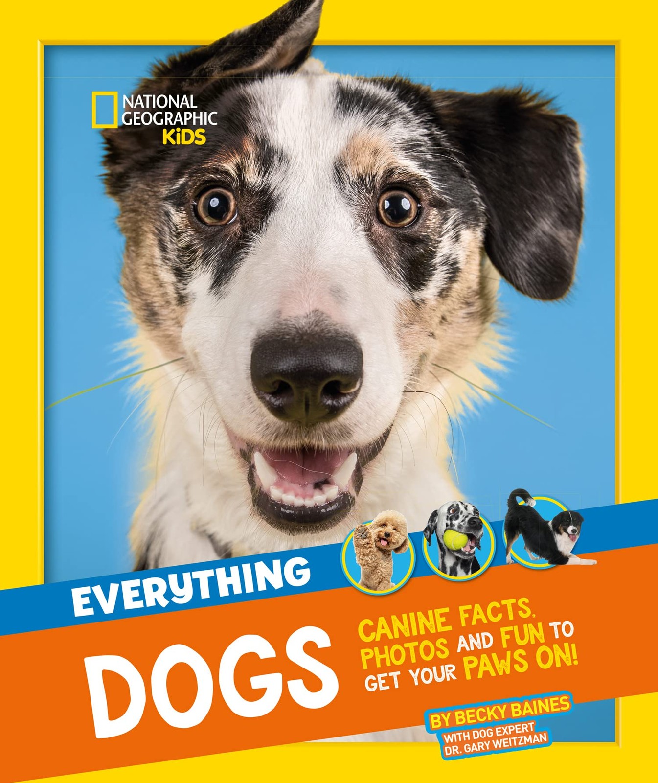 Everything: Dogs: Canine facts, photos and fun to get your paws on! (National G - Image 5