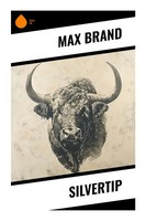 Max Brand | Silvertip | Taschenbuch | Englisch (2023) | Sharp Ink