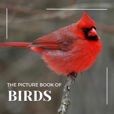The Photograph Of Birds: A Beautiful Picture Book for Seniors With...