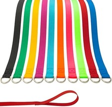 Slip Lead Dog Leash 10pcs 6ft Training Puppies