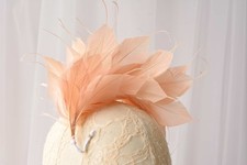 80 Colours Goose Feather Twisted Mount Millinery Hat Fascinator Royal Ascot