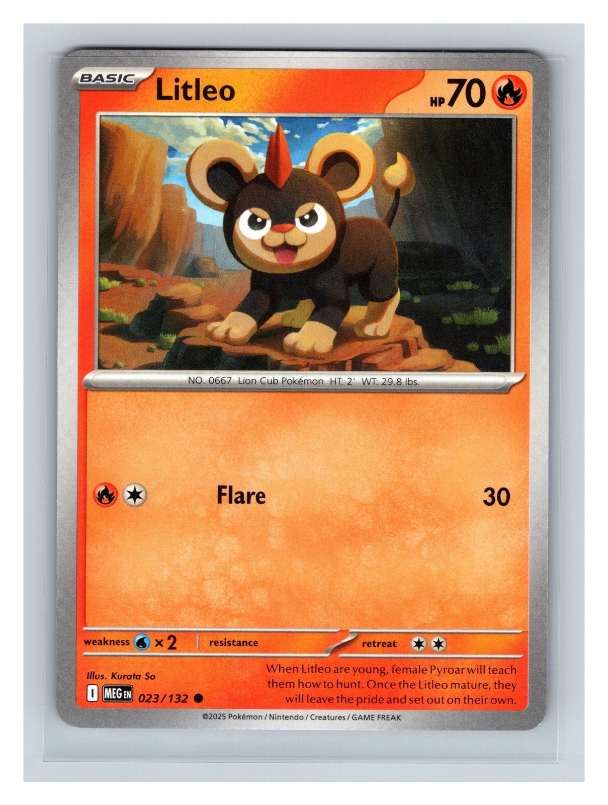 Pokemon TCG Litleo ME01: Mega Evolution 023/132 Common NM
