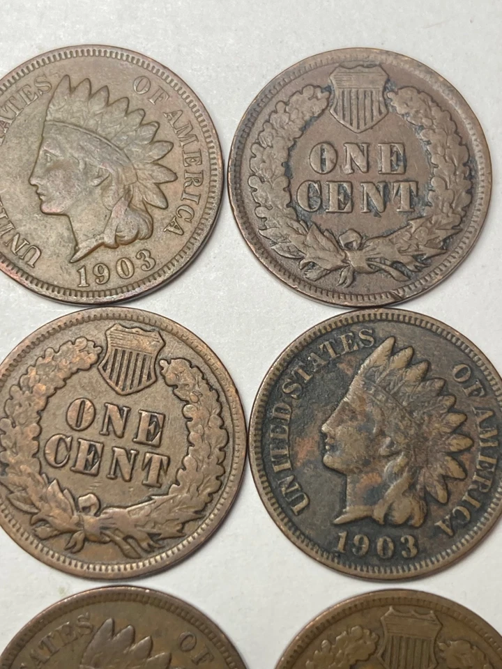 1903 INDIAN CENT ROLL, 50 nice condition (no problem) coins - Image 4 of 4