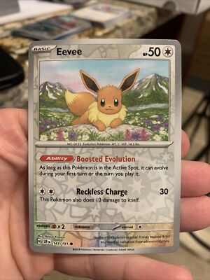 2024 Pokemon TCG Eevee 143 Surging Sparks Reverse Holo Card NM+ | eBay