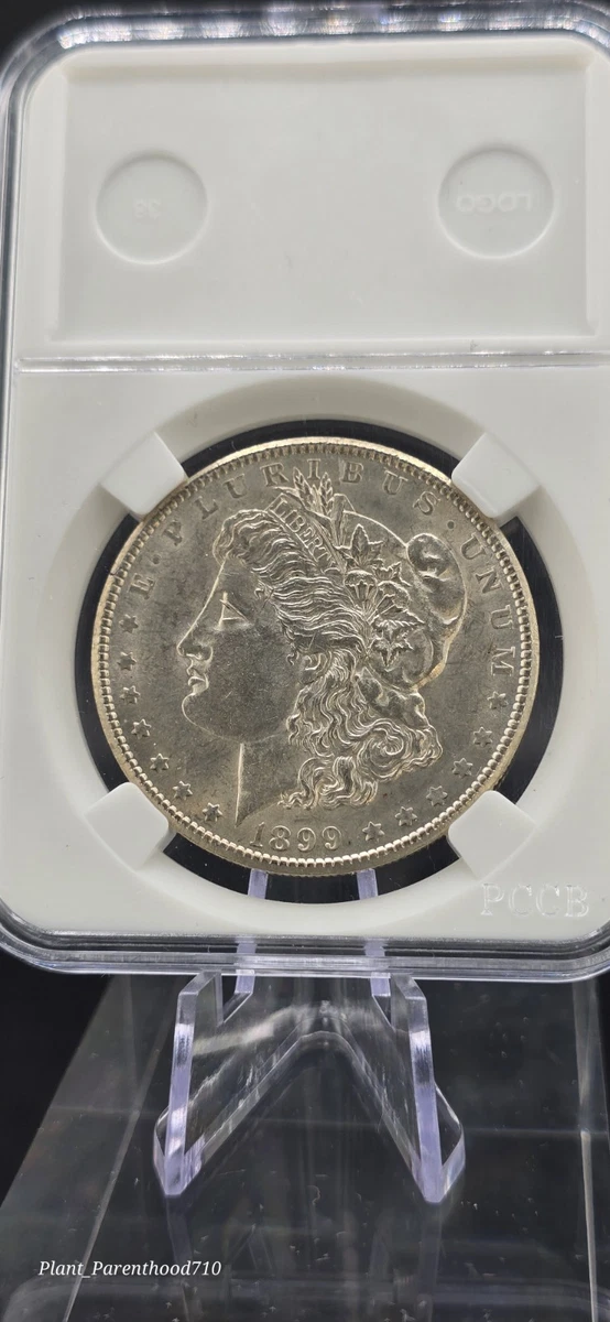 1899 Year Morgan US Dollars (1878-1921) for sale | eBay